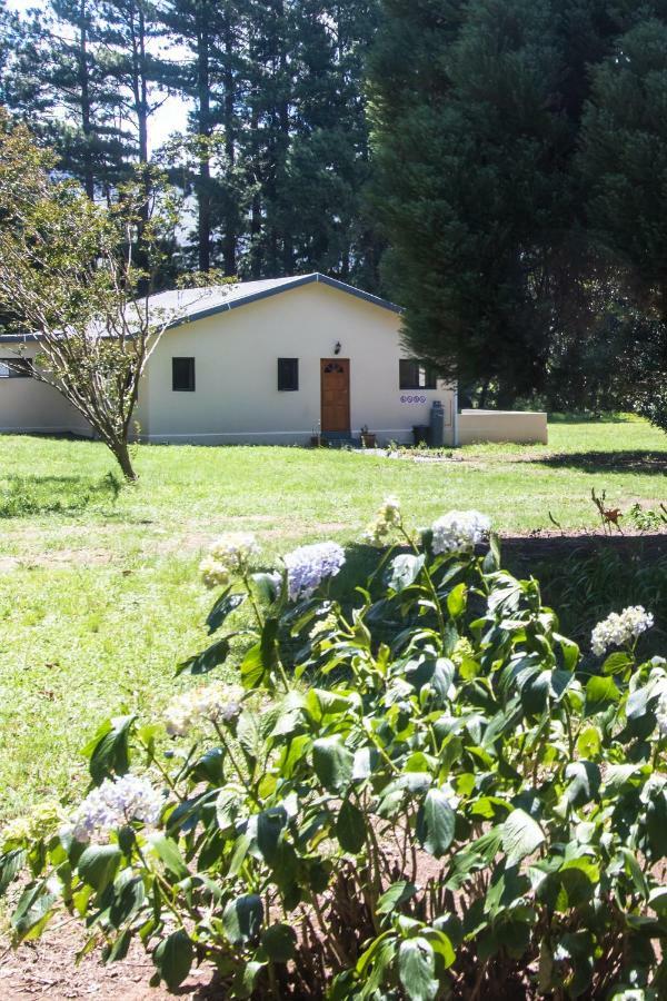 Kamberg Valley Hideaway Rev Estates Luaran gambar